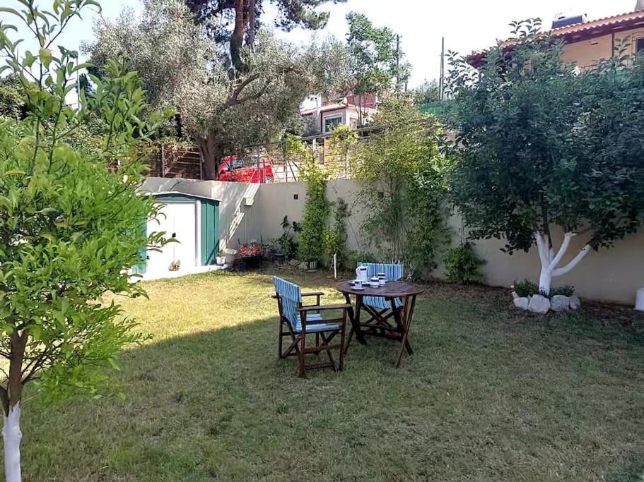 Aurora Studio Lagonissi Λαγονήσι Εξωτερικό φωτογραφία