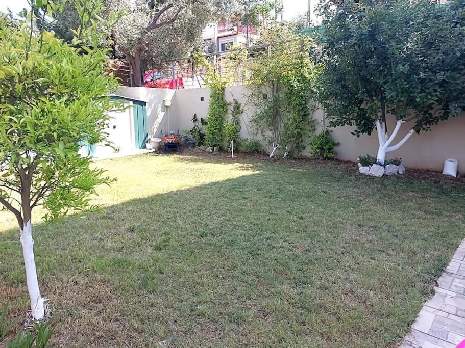 Aurora Studio Lagonissi Λαγονήσι Εξωτερικό φωτογραφία