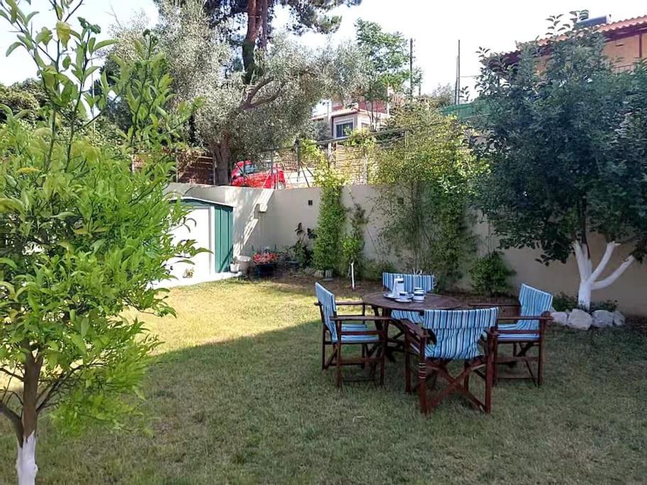 Aurora Studio Lagonissi Λαγονήσι Εξωτερικό φωτογραφία
